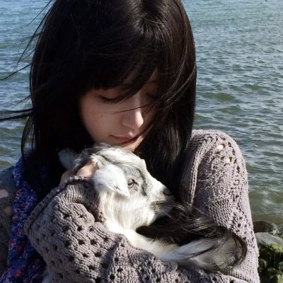彩色响尾蛇