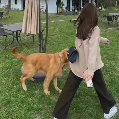贝茨旅馆第四季